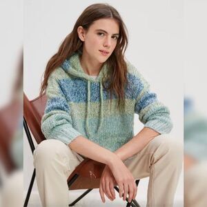 American Eagle Hoodie Sweater - Size Large, Blue/Green NWOT